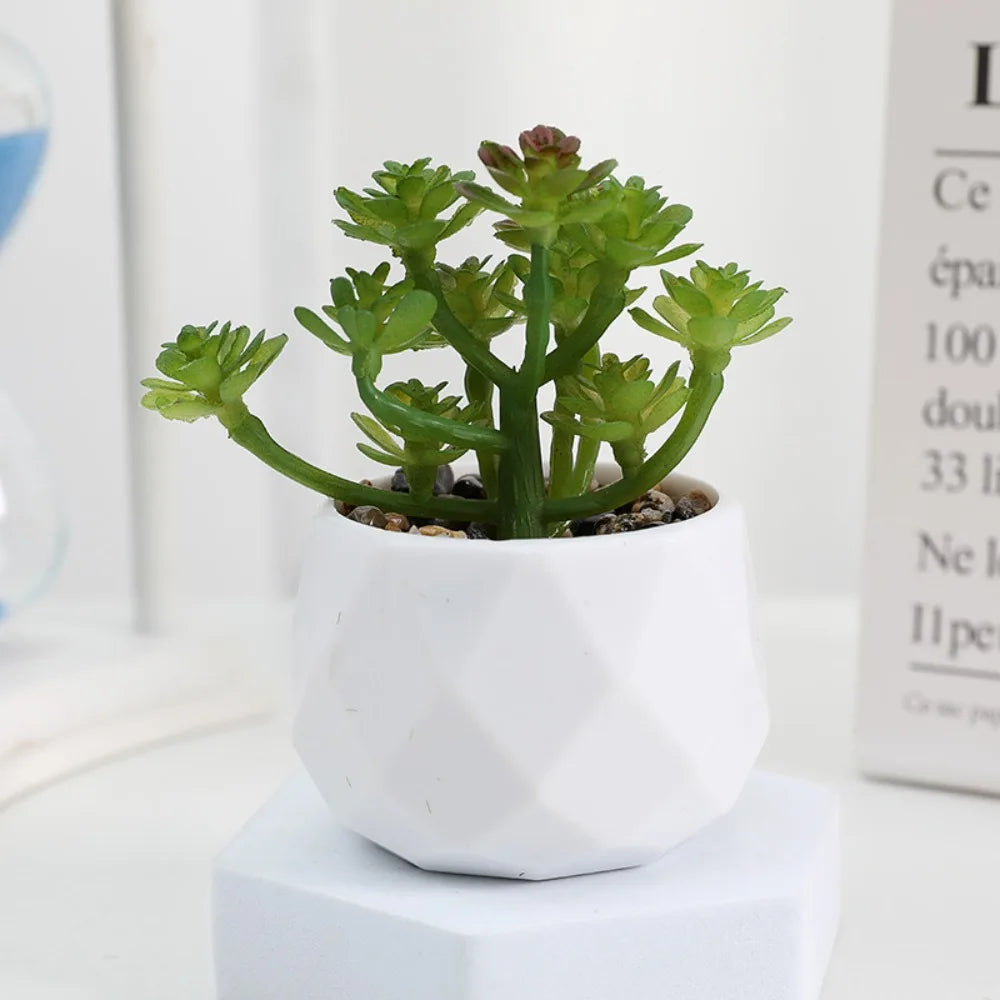Plantas Decorativas Oriental Zen - Gustha Decor