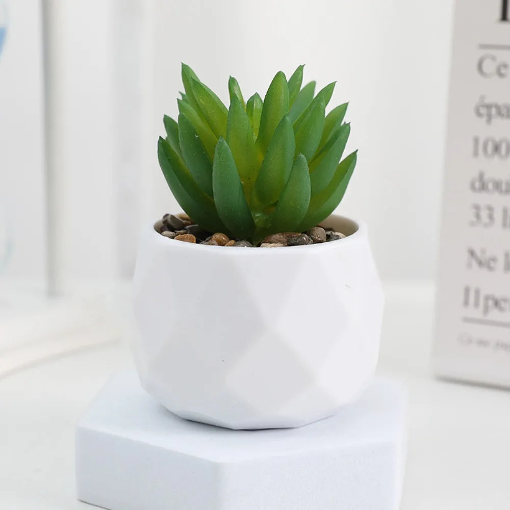Plantas Decorativas Oriental Zen - Gustha Decor