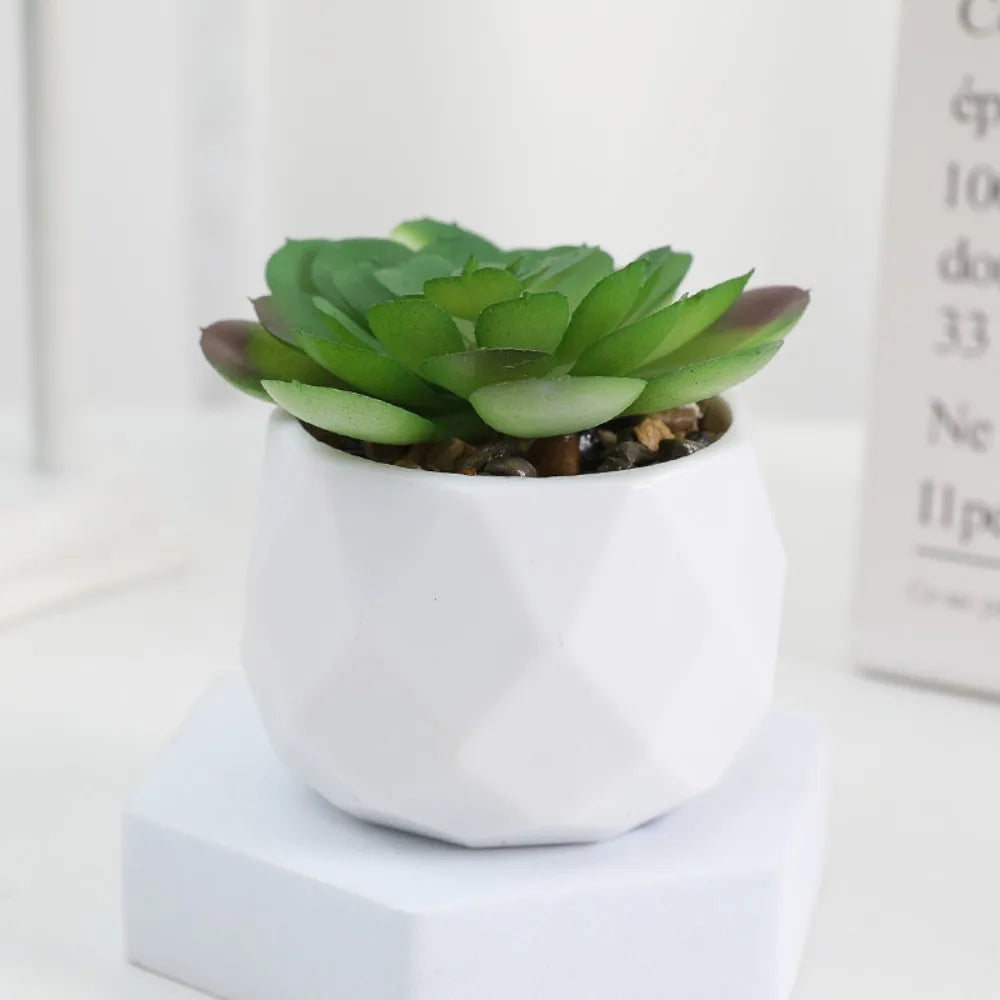 Plantas Decorativas Oriental Zen - Gustha Decor