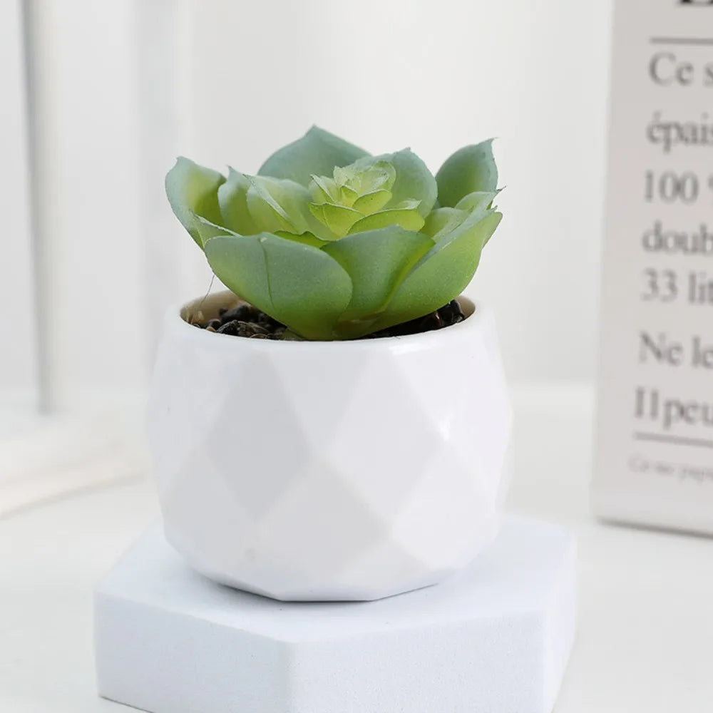 Plantas Decorativas Oriental Zen - Gustha Decor