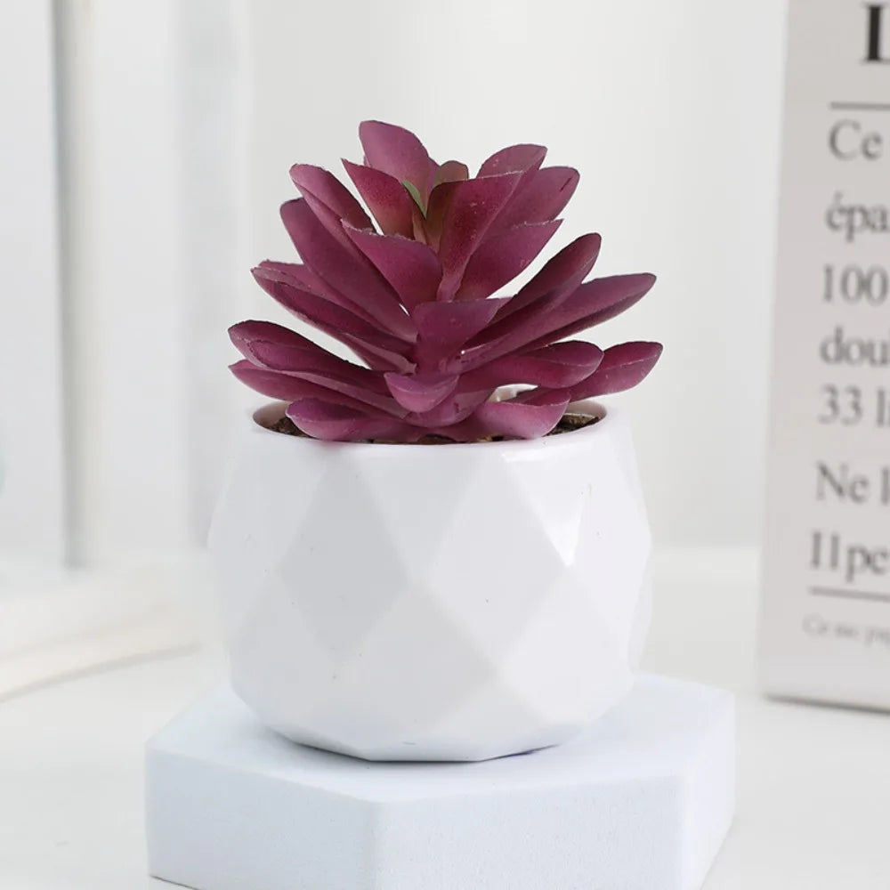 Plantas Decorativas Oriental Zen - Gustha Decor