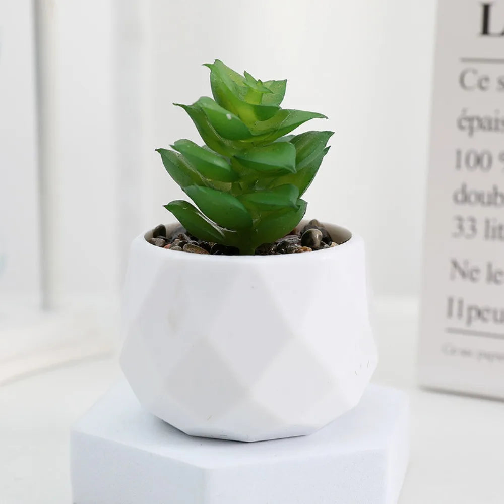 Plantas Decorativas Oriental Zen - Gustha Decor