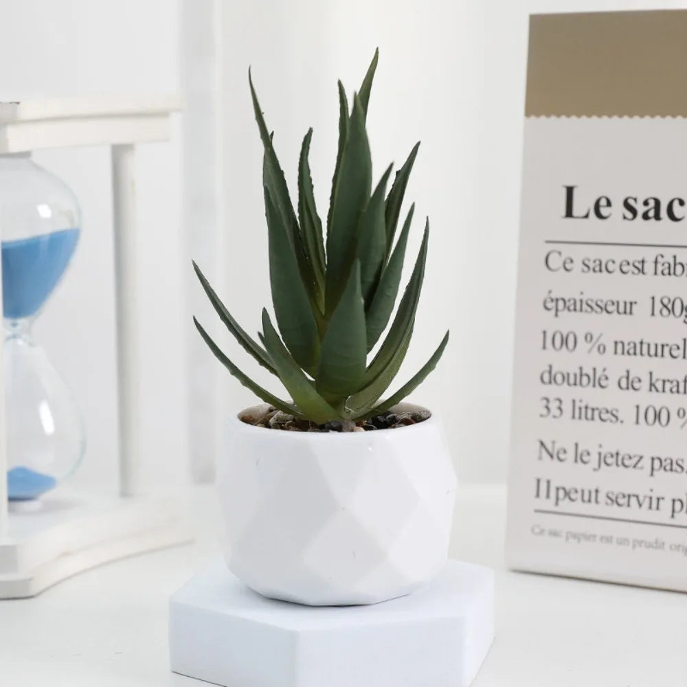 Plantas Decorativas Oriental Zen - Gustha Decor