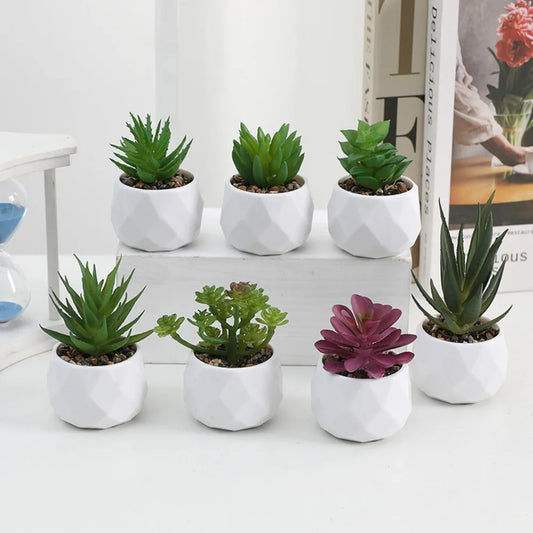 Plantas Decorativas Oriental Zen - Gustha Decor