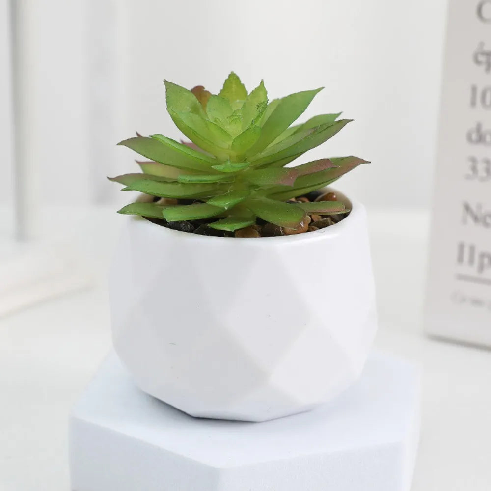 Plantas Decorativas Oriental Zen - Gustha Decor