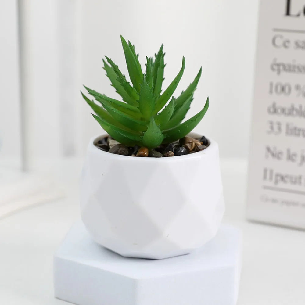 Plantas Decorativas Oriental Zen - Gustha Decor